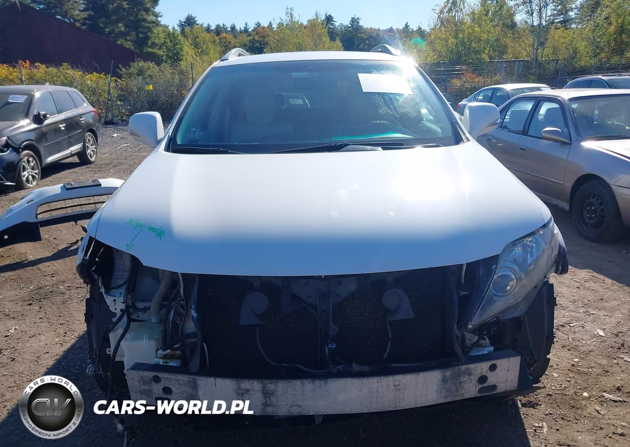 2010 Lexus Rx 350 VIN:2T2BK1BA6AC005415 - 6