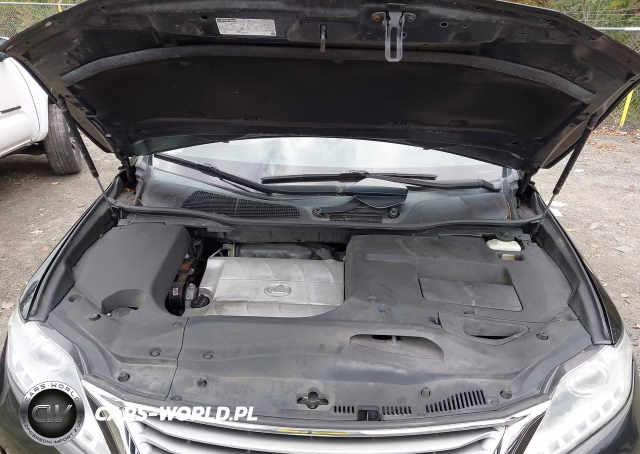 2015 Lexus Rx 350 VIN:2T2BK1BA0FC300050 - 10