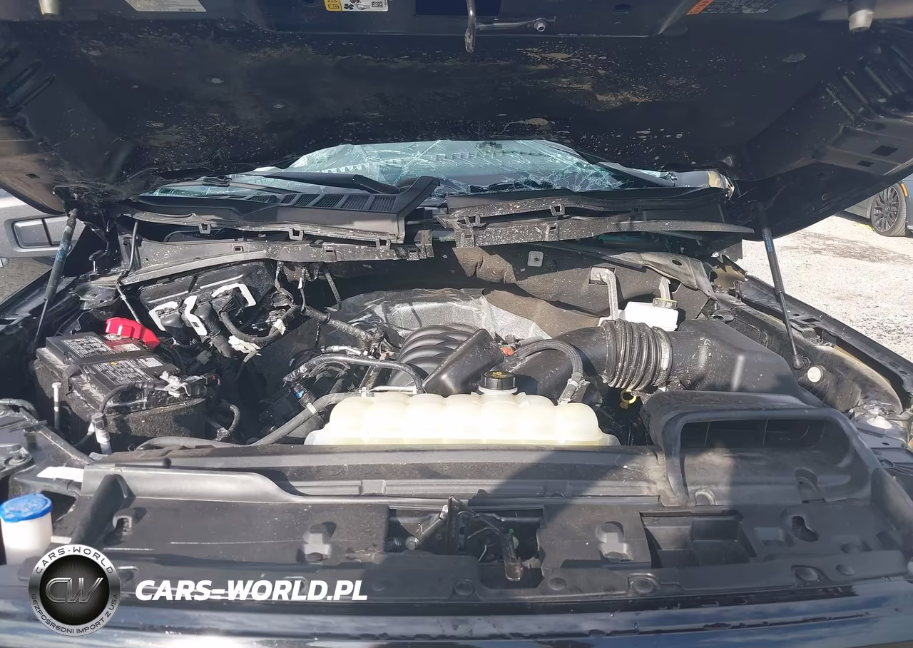 2025 Ford F-150 Xlt VIN:1FTEW3K50SKD67793 - 10