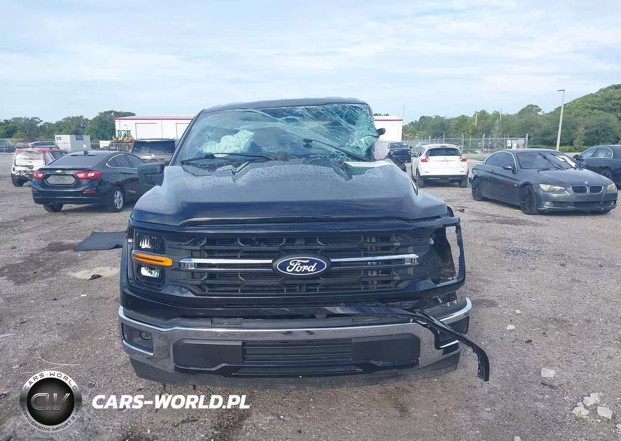 2025 Ford F-150 Xlt VIN:1FTEW3K50SKD67793 - 12