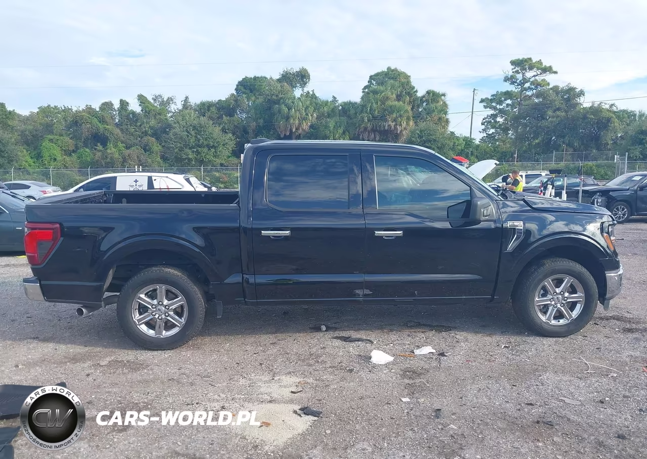2025 Ford F-150 Xlt VIN:1FTEW3K50SKD67793 - 13