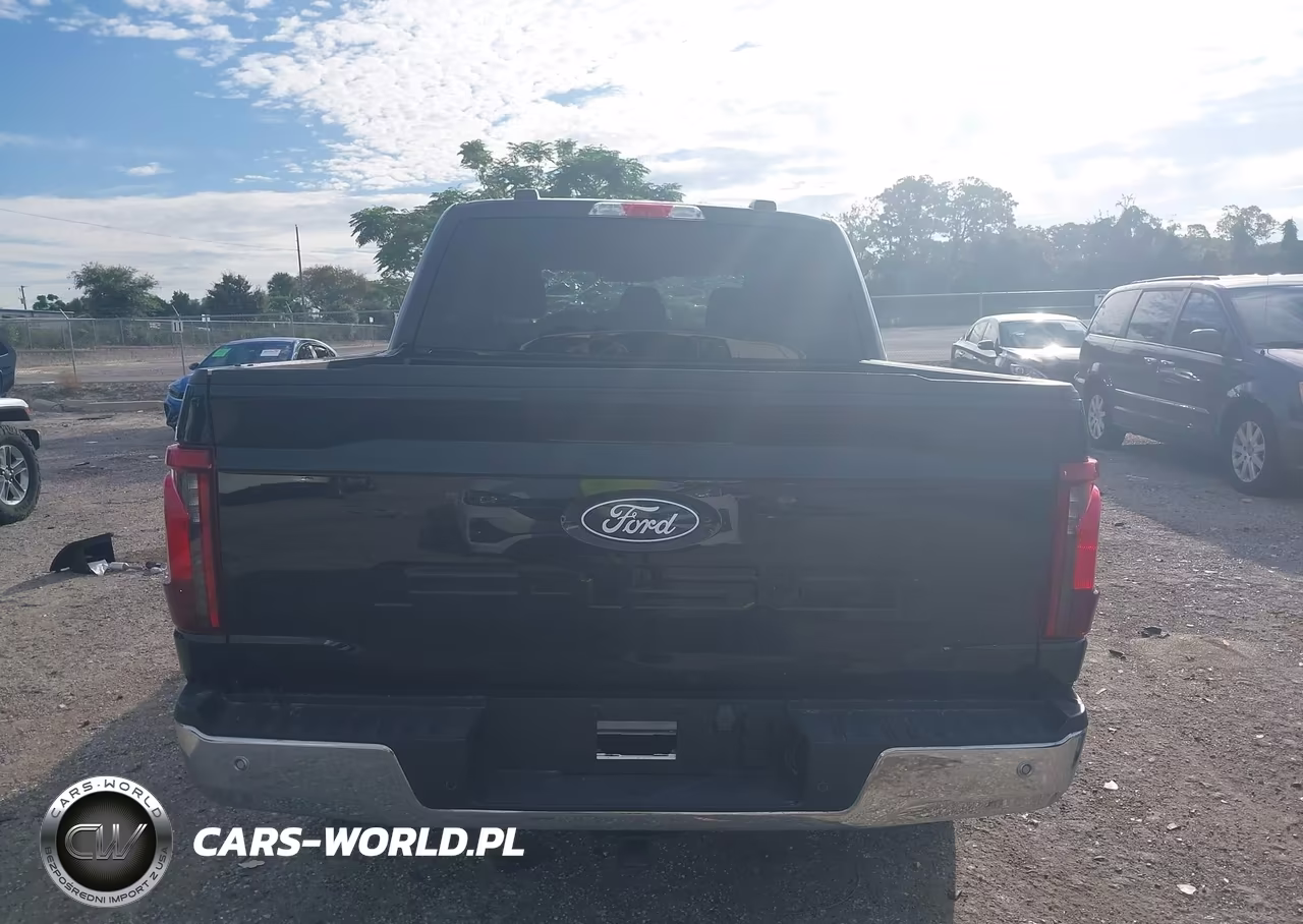 2025 Ford F-150 Xlt VIN:1FTEW3K50SKD67793 - 16