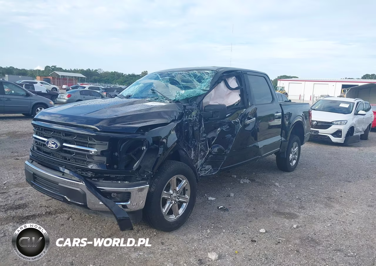 2025 Ford F-150 Xlt VIN:1FTEW3K50SKD67793 - 2