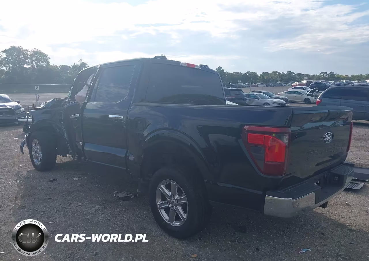 2025 Ford F-150 Xlt VIN:1FTEW3K50SKD67793 - 3