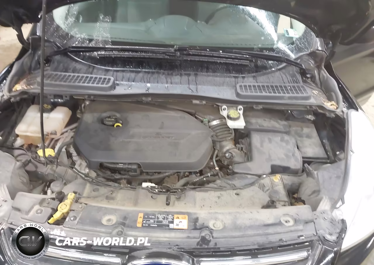 2015 Ford Escape Se VIN:1FMCU9GX3FUA56312 - 10