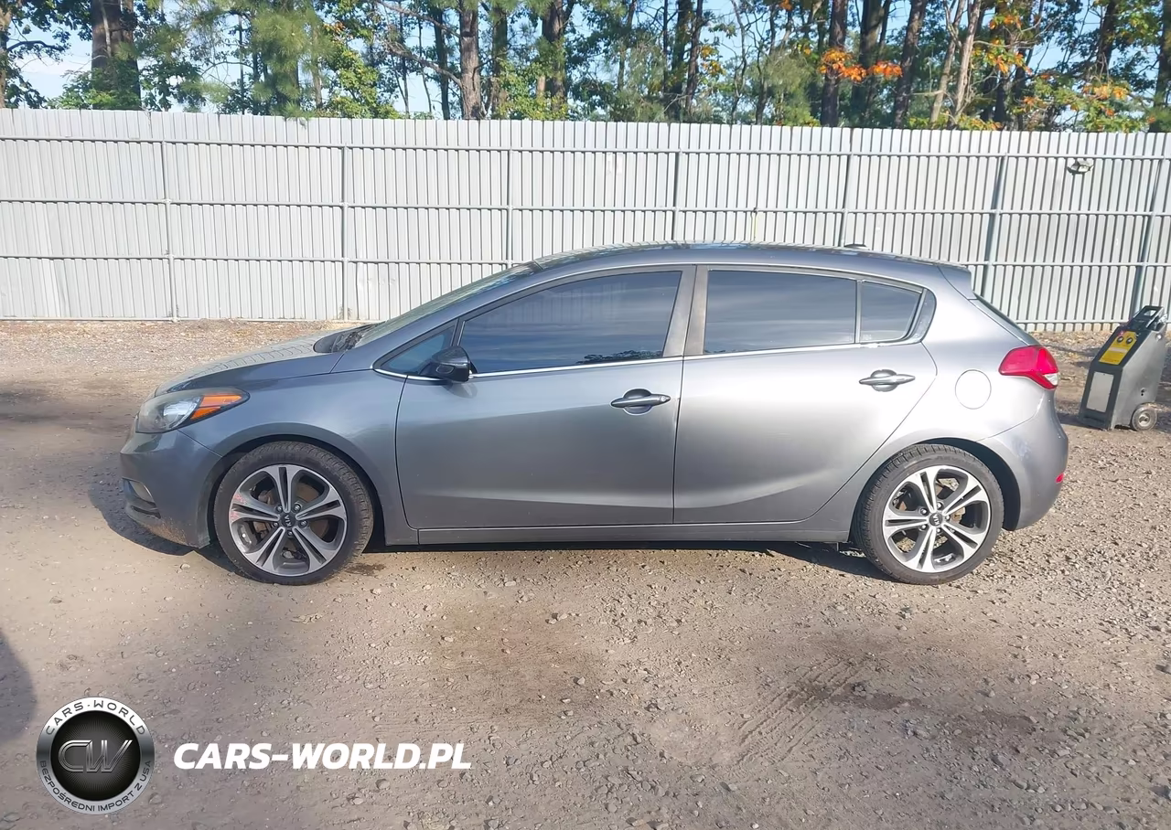 2016 Kia Forte Ex VIN:KNAFX5A88G5627238 - 14