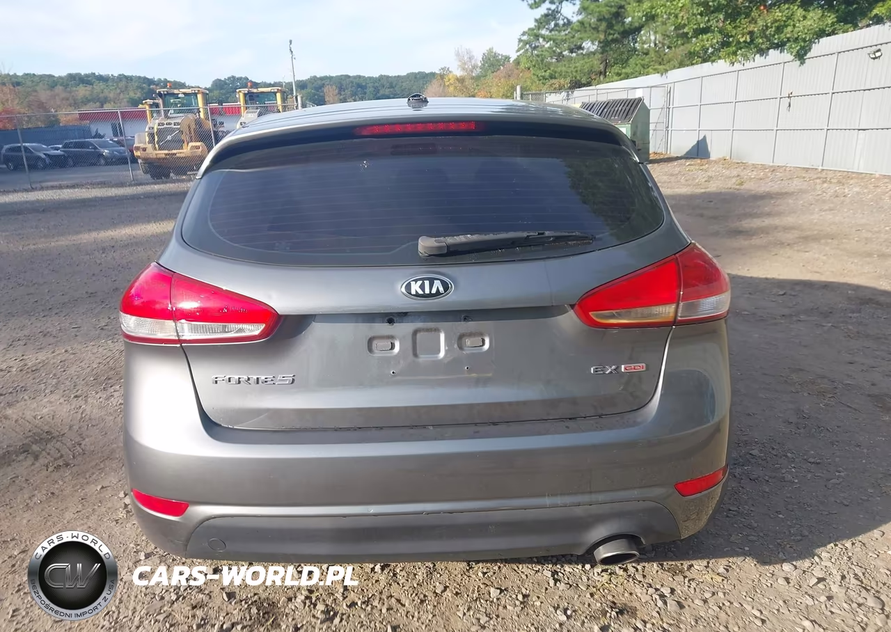 2016 Kia Forte Ex VIN:KNAFX5A88G5627238 - 16