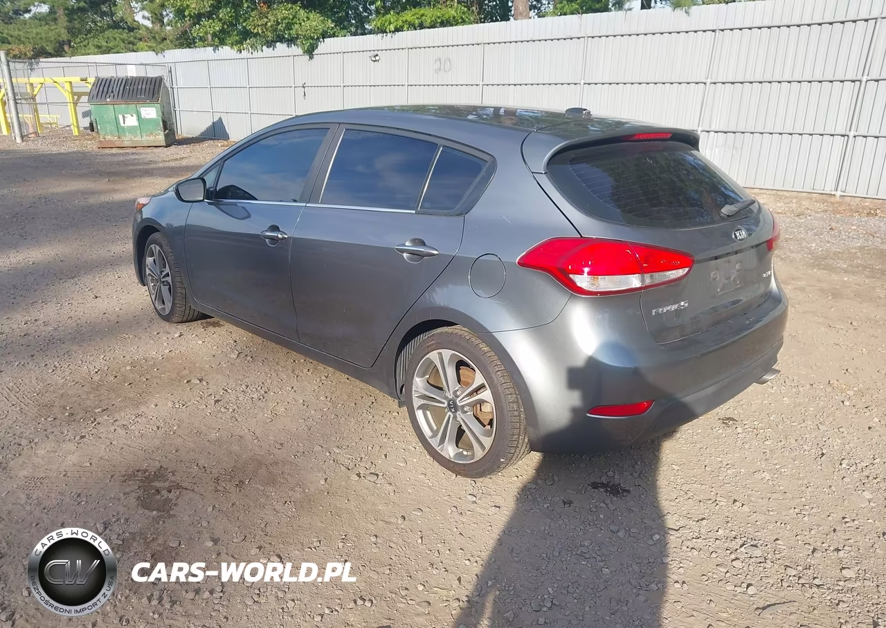2016 Kia Forte Ex VIN:KNAFX5A88G5627238 - 3