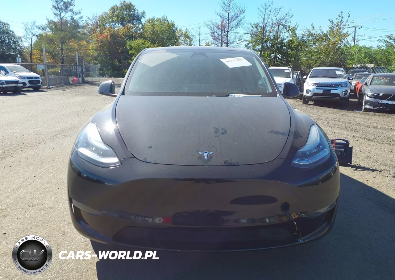 2023 Tesla Model Y Awd-Long Range Dual Motor All-Wheel Drive VIN:7SAYGDEEXPA027342 - 12