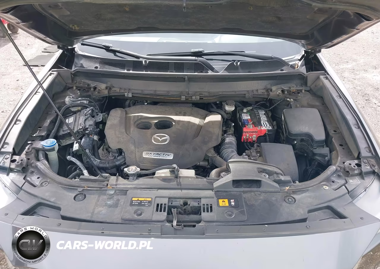 2017 Mazda Cx-9 Touring VIN:JM3TCBCY9H0129777 - 10