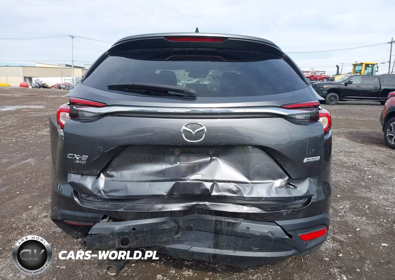 2017 Mazda Cx-9 Touring VIN:JM3TCBCY9H0129777 - 16