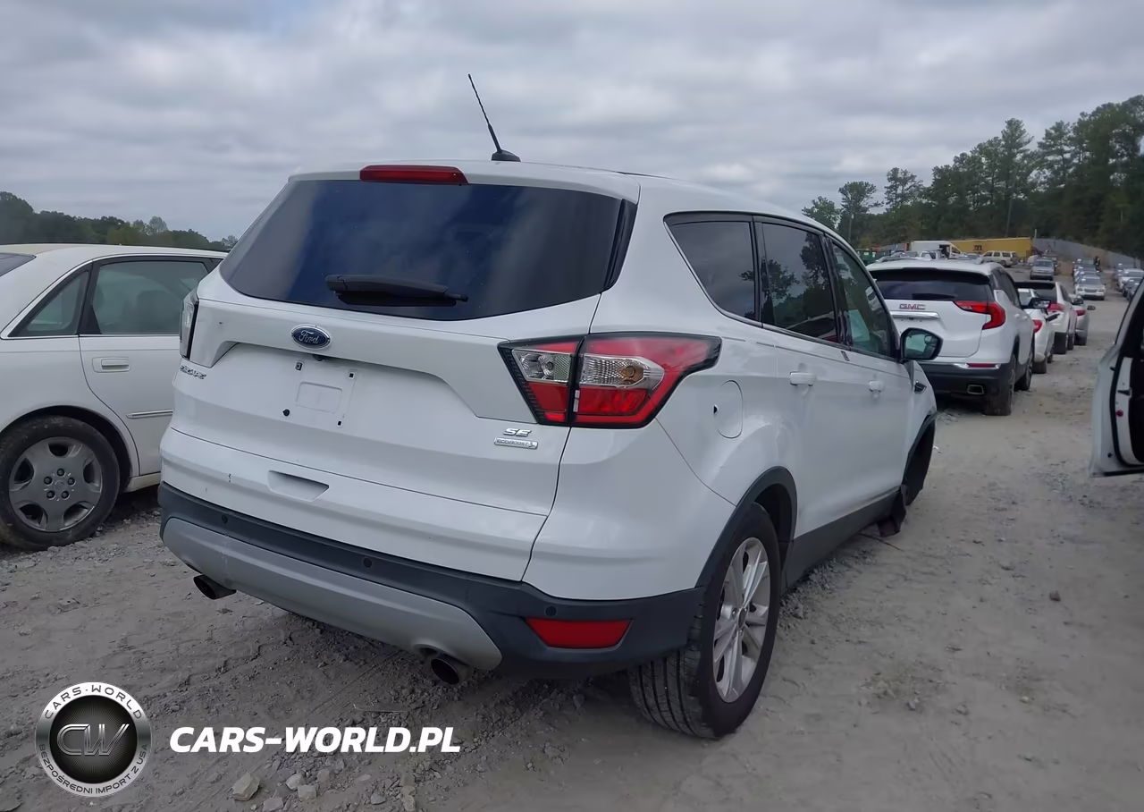 2017 Ford Escape Se VIN:1FMCU0GD8HUD15994 - 4