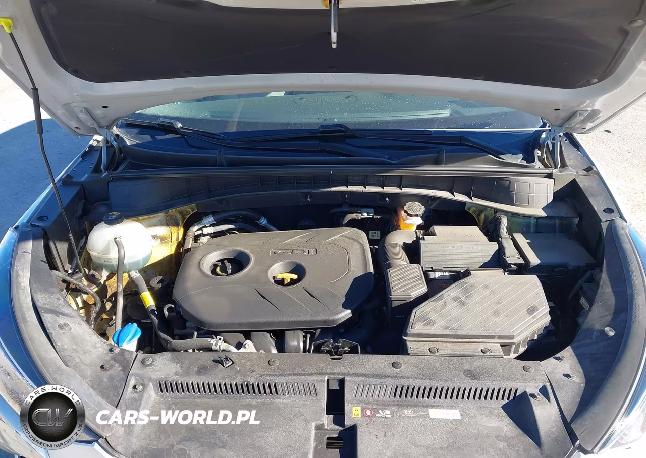 2019 Hyundai Tucson Se VIN:KM8J2CA45KU926919 - 10