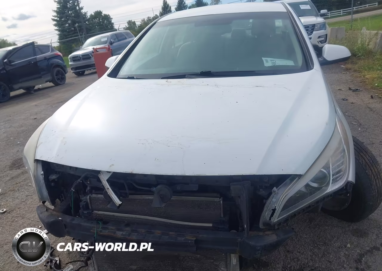 2016 Hyundai Sonata Se VIN:5NPE24AF2GH366131 - 12