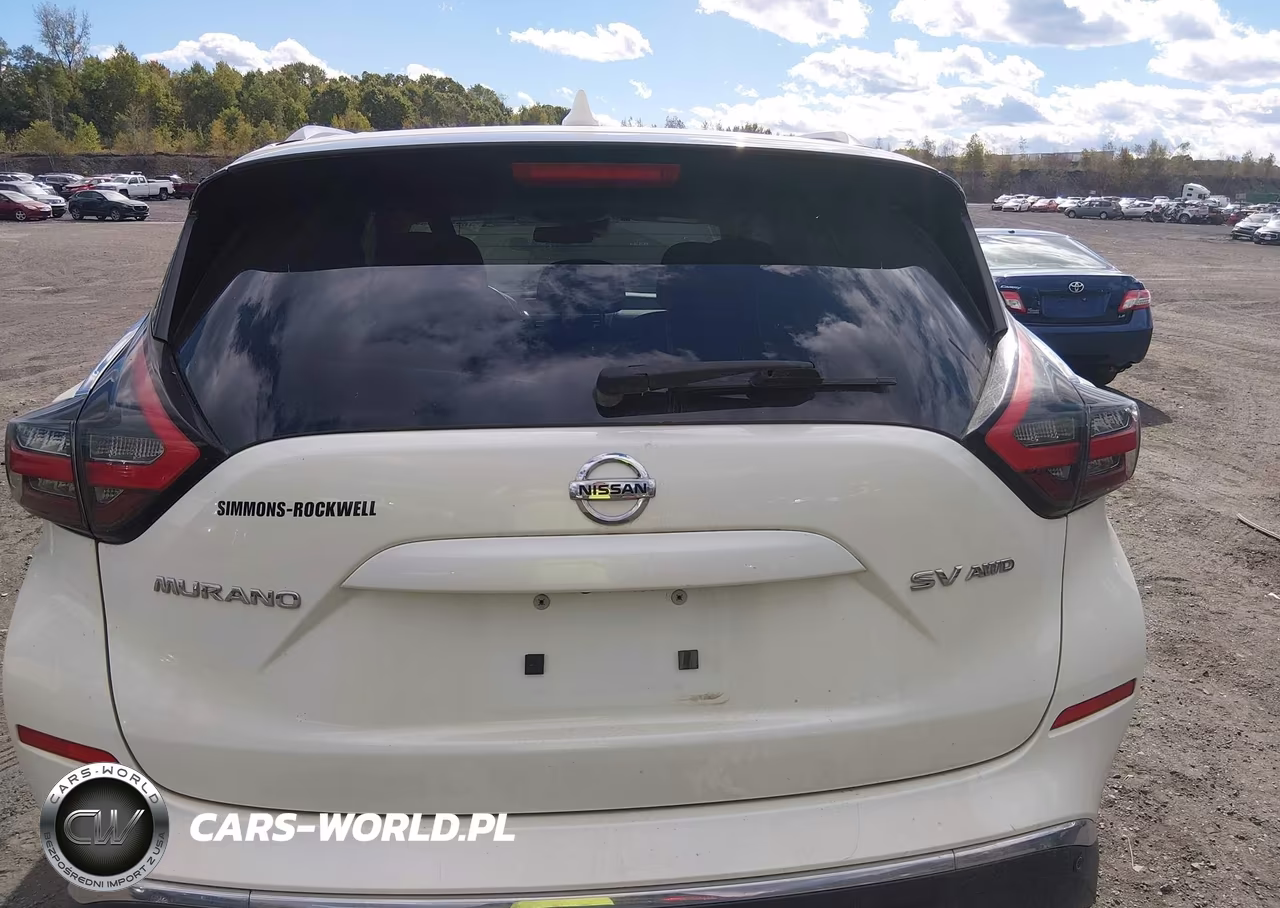 2020 Nissan Murano Sv Intelligent Awd VIN:5N1AZ2BS9LN101903 - 16