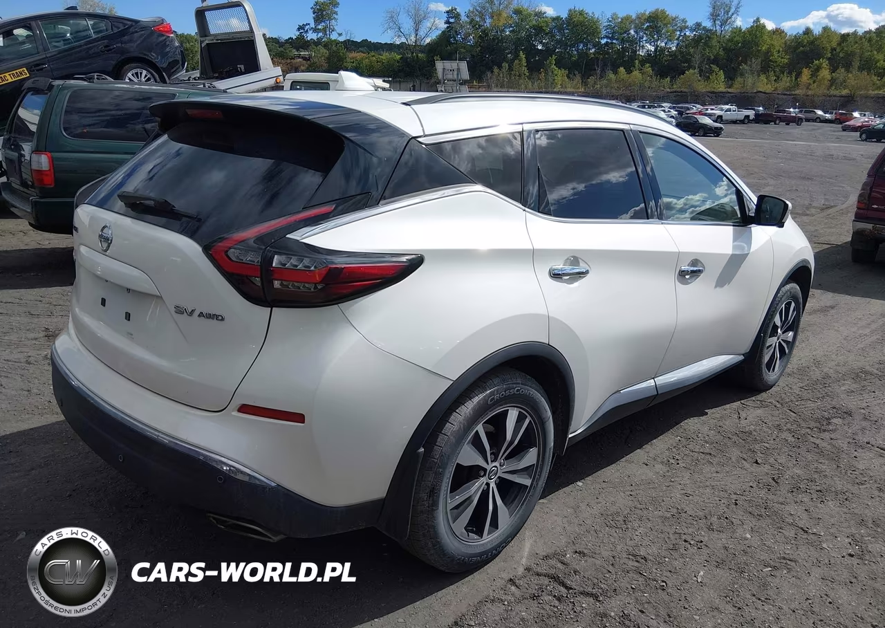 2020 Nissan Murano Sv Intelligent Awd VIN:5N1AZ2BS9LN101903 - 4