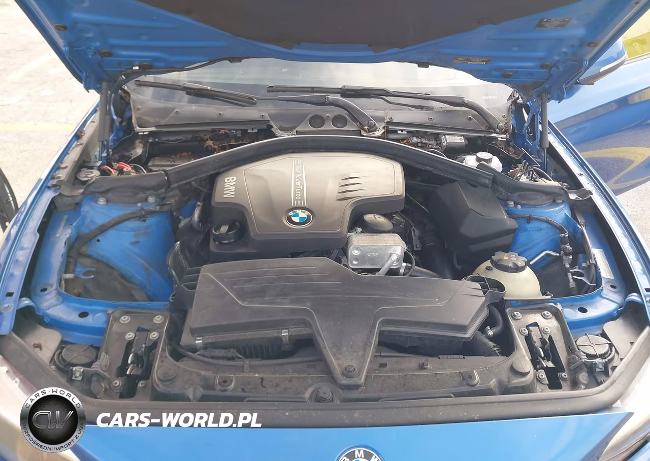 2015 BMW 228I VIN:WBA1G9C5XFVX96437 - 10