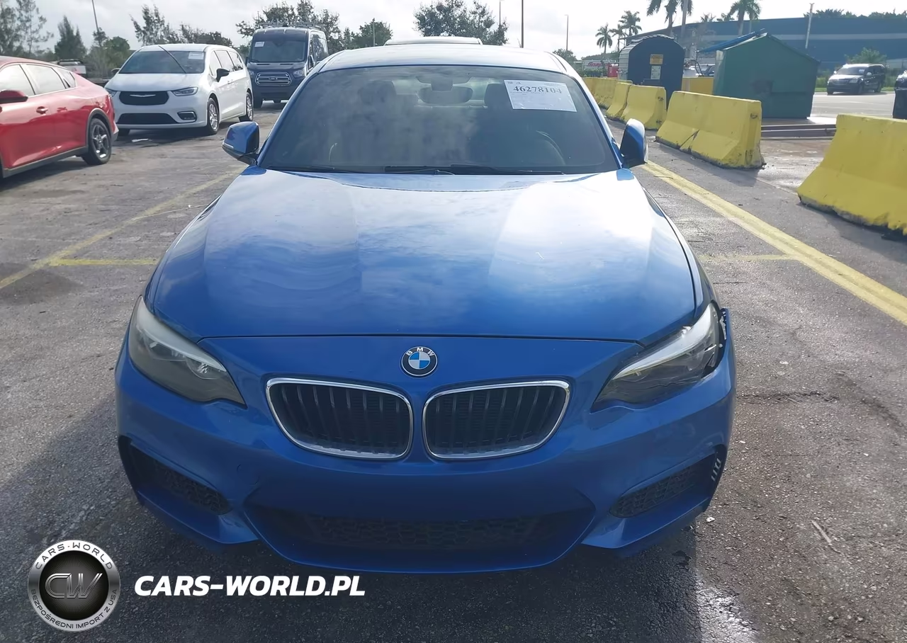 2015 BMW 228I VIN:WBA1G9C5XFVX96437 - 12