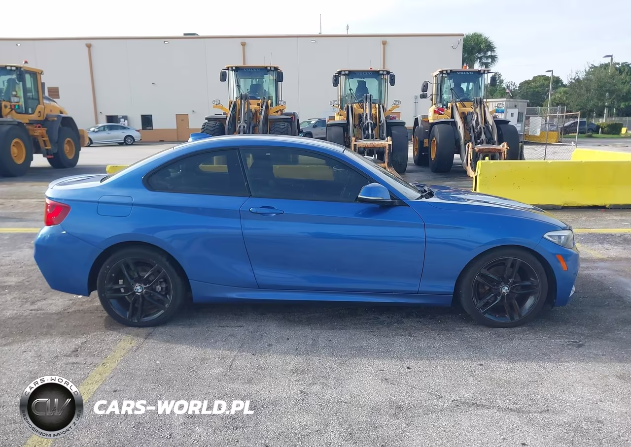 2015 BMW 228I VIN:WBA1G9C5XFVX96437 - 13