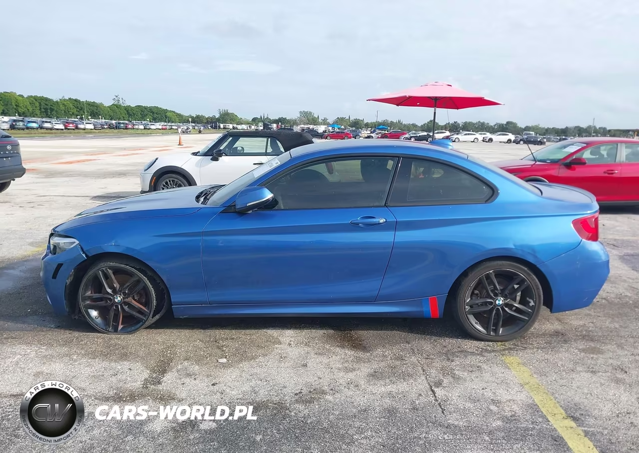 2015 BMW 228I VIN:WBA1G9C5XFVX96437 - 14