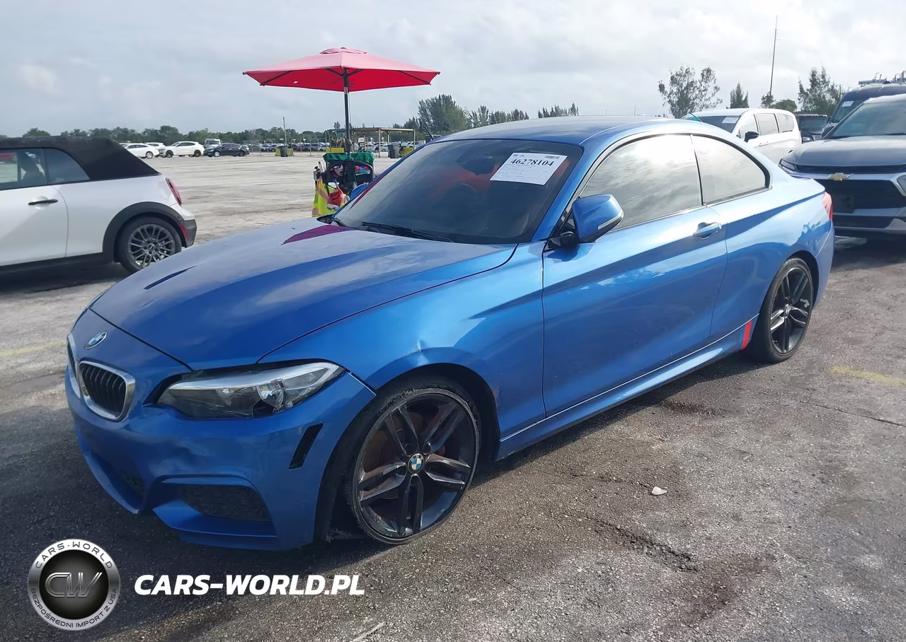 2015 BMW 228I VIN:WBA1G9C5XFVX96437 - 2