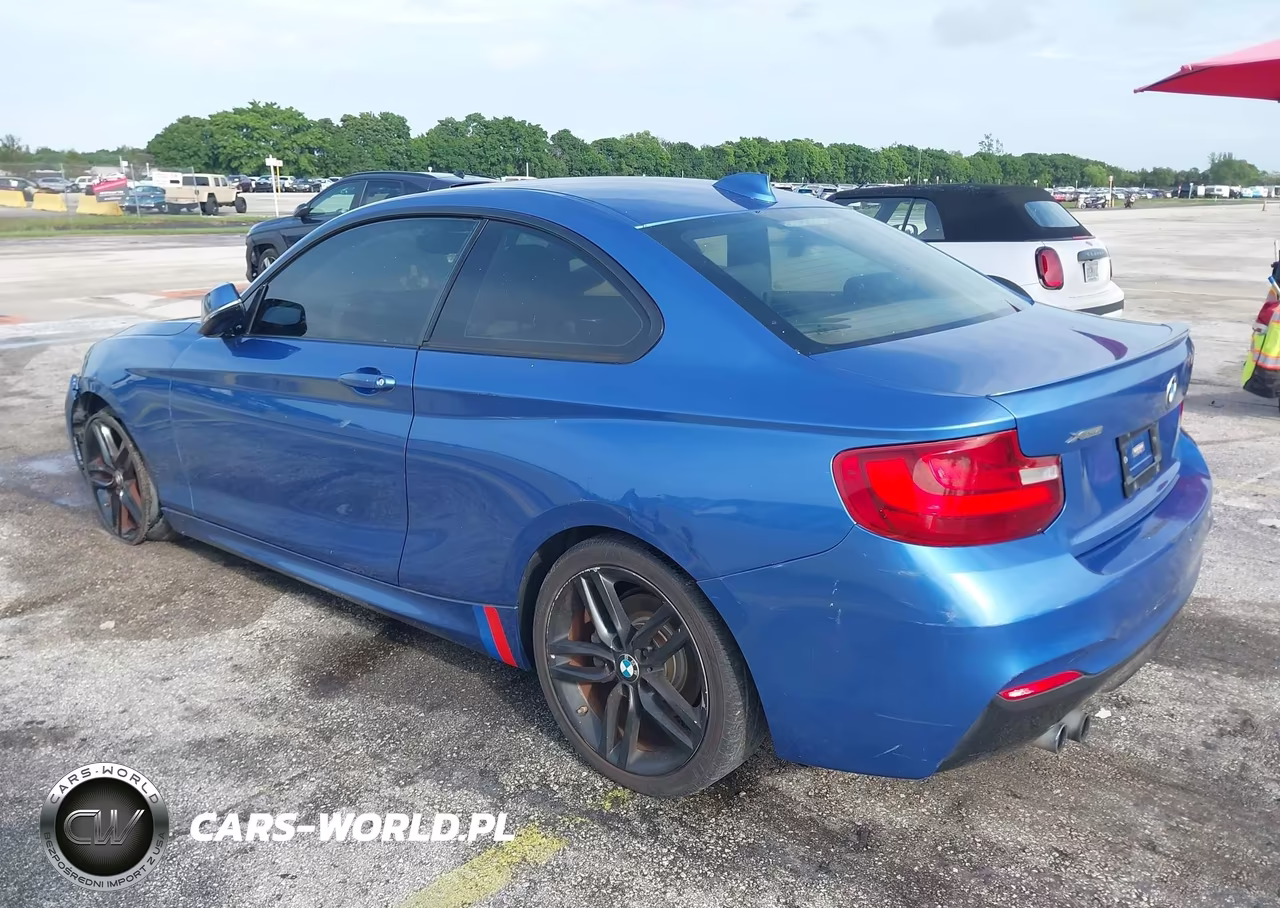 2015 BMW 228I VIN:WBA1G9C5XFVX96437 - 3