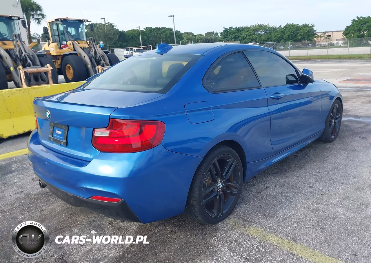 2015 BMW 228I VIN:WBA1G9C5XFVX96437 - 4