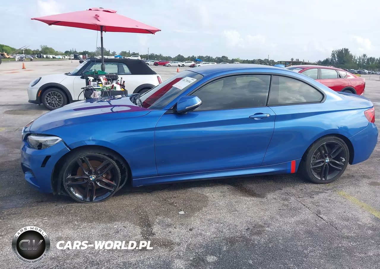 2015 BMW 228I VIN:WBA1G9C5XFVX96437 - 6