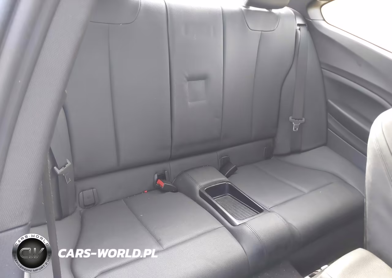 2015 BMW 228I VIN:WBA1G9C5XFVX96437 - 8