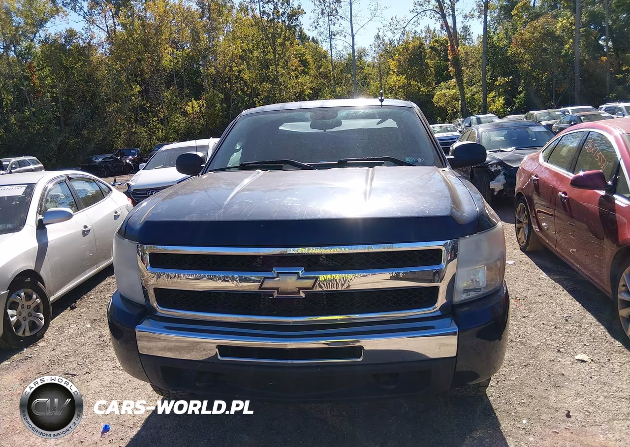 2009 Chevrolet Silverado 1500 Lt VIN:1GCEK29029Z279961 - 12