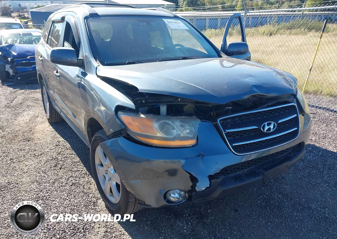 2009 Hyundai Santa Fe Limited VIN:5NMSH13E39H330615 - 6