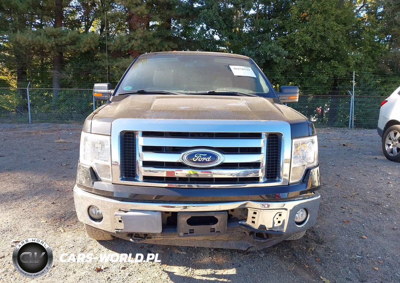 2010 Ford F-150 Fx4-Lariat-Xl-Xlt VIN:1FTFX1EV6AFD96580 - 12