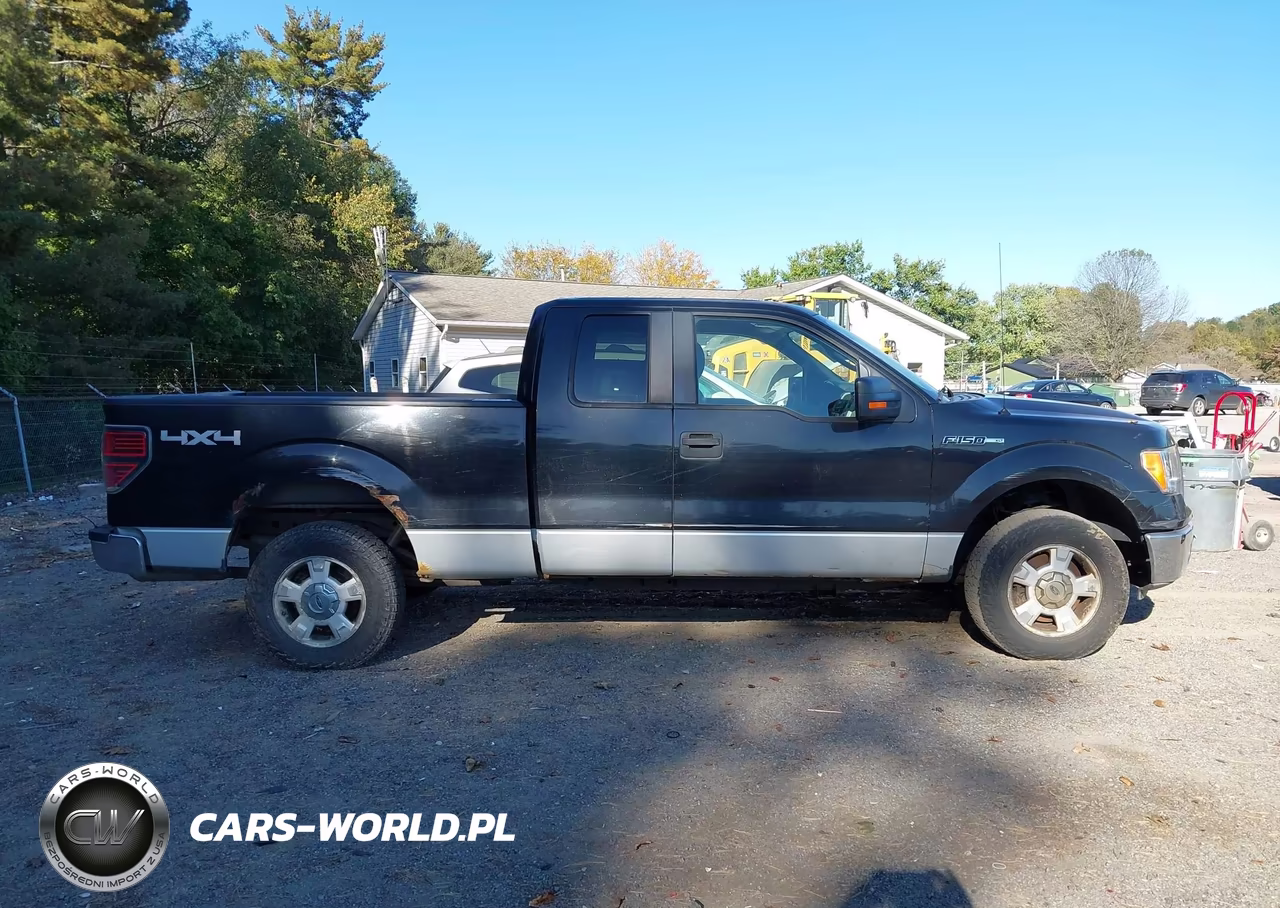 2010 Ford F-150 Fx4-Lariat-Xl-Xlt VIN:1FTFX1EV6AFD96580 - 13