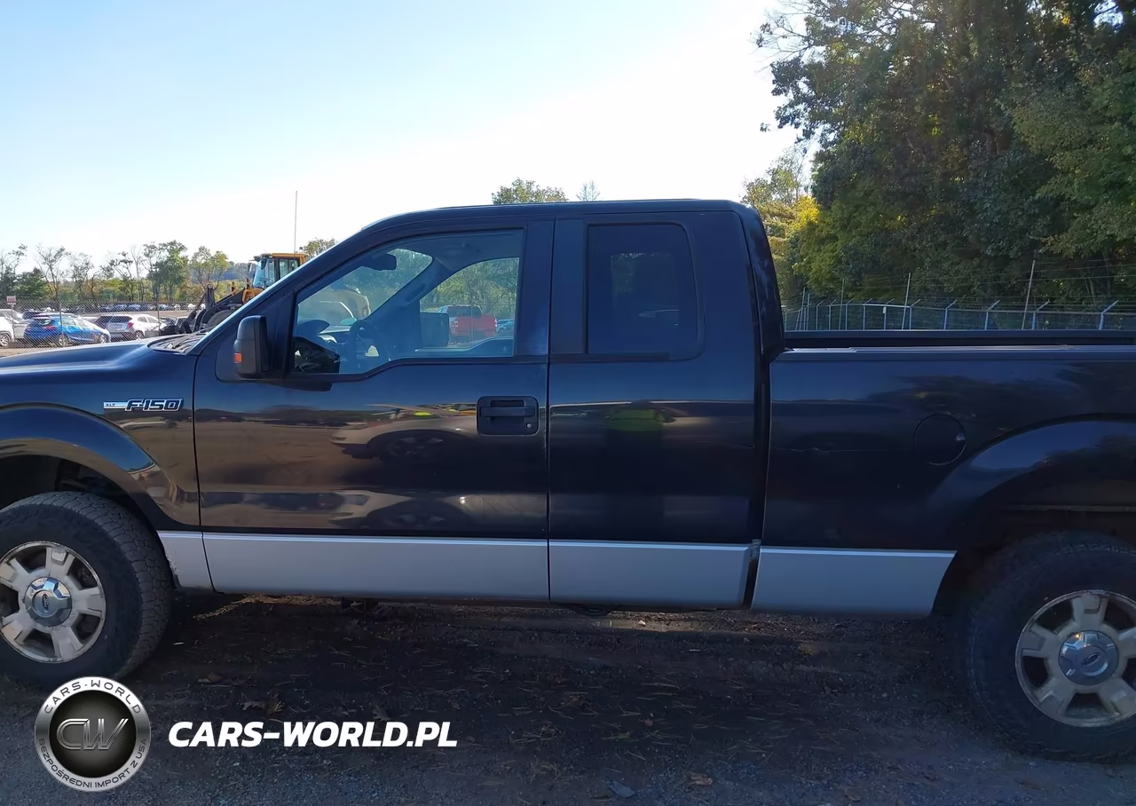 2010 Ford F-150 Fx4-Lariat-Xl-Xlt VIN:1FTFX1EV6AFD96580 - 14