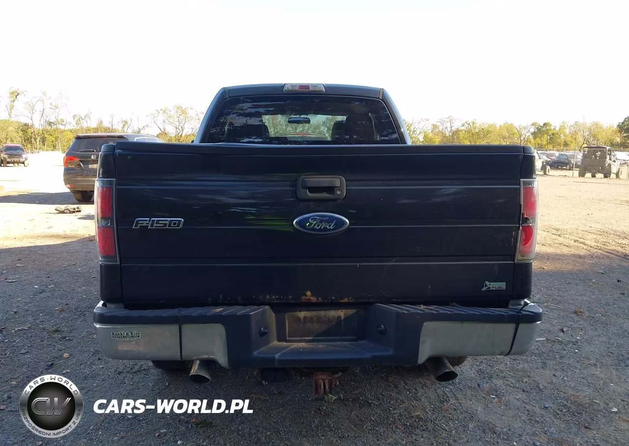 2010 Ford F-150 Fx4-Lariat-Xl-Xlt VIN:1FTFX1EV6AFD96580 - 16