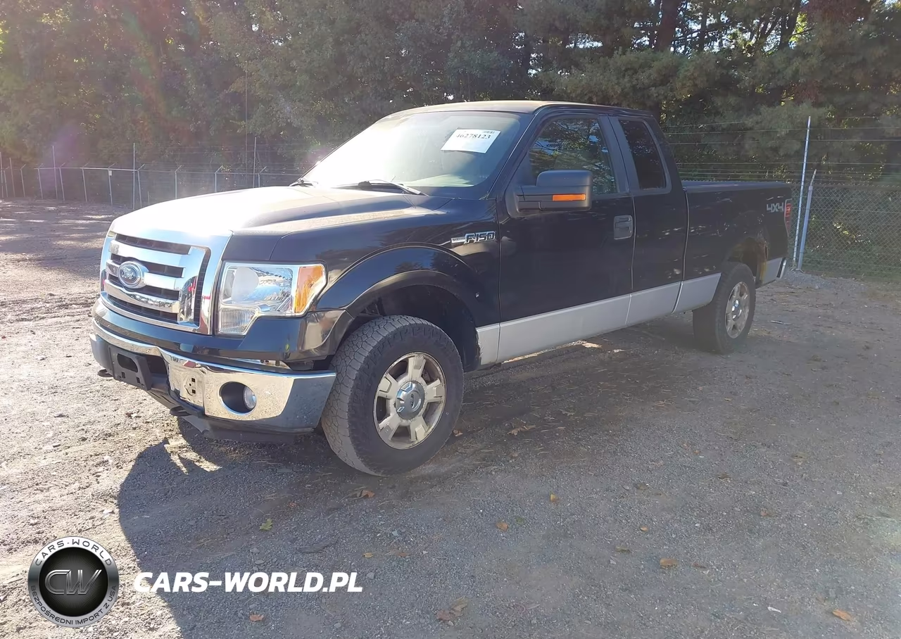 2010 Ford F-150 Fx4-Lariat-Xl-Xlt VIN:1FTFX1EV6AFD96580 - 2