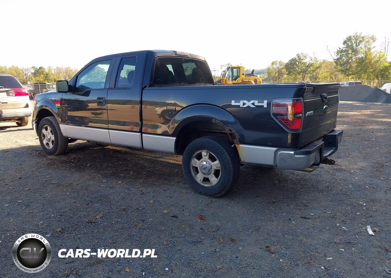 2010 Ford F-150 Fx4-Lariat-Xl-Xlt VIN:1FTFX1EV6AFD96580 - 3