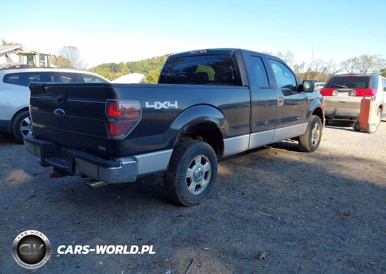 2010 Ford F-150 Fx4-Lariat-Xl-Xlt VIN:1FTFX1EV6AFD96580 - 4