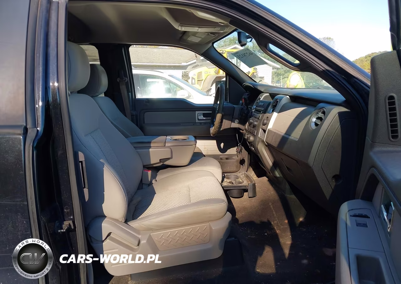 2010 Ford F-150 Fx4-Lariat-Xl-Xlt VIN:1FTFX1EV6AFD96580 - 5