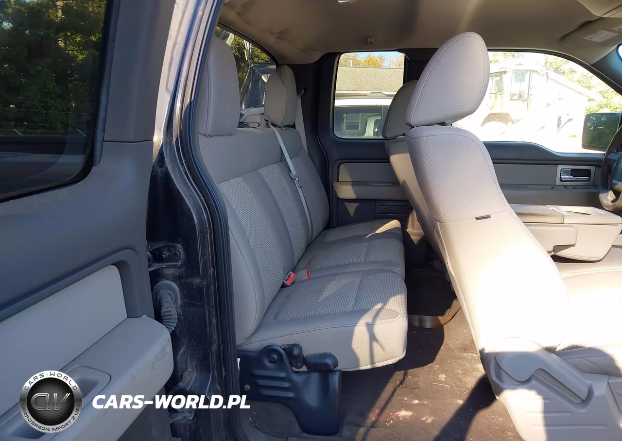 2010 Ford F-150 Fx4-Lariat-Xl-Xlt VIN:1FTFX1EV6AFD96580 - 8