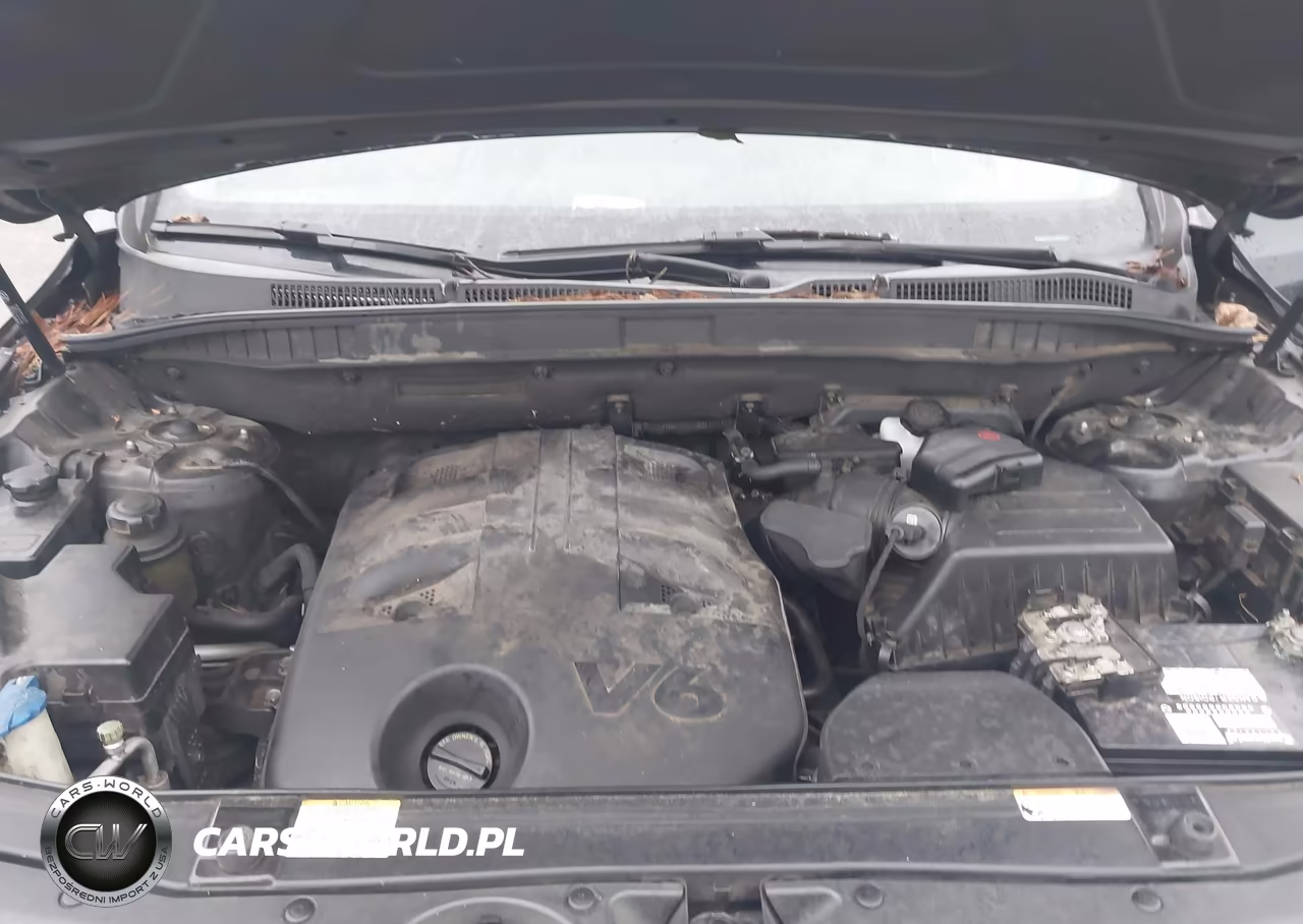 2008 Hyundai Veracruz Gls-Limited-Se VIN:KM8NU13C38U069450 - 10
