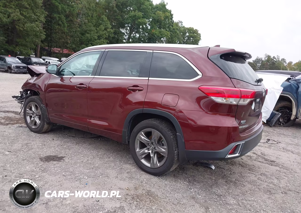 2019 Toyota Highlander Limited Platinum VIN:5TDDZRFH9KS940919 - 3