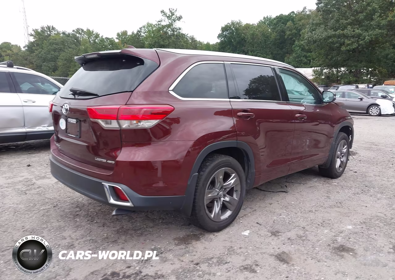 2019 Toyota Highlander Limited Platinum VIN:5TDDZRFH9KS940919 - 4