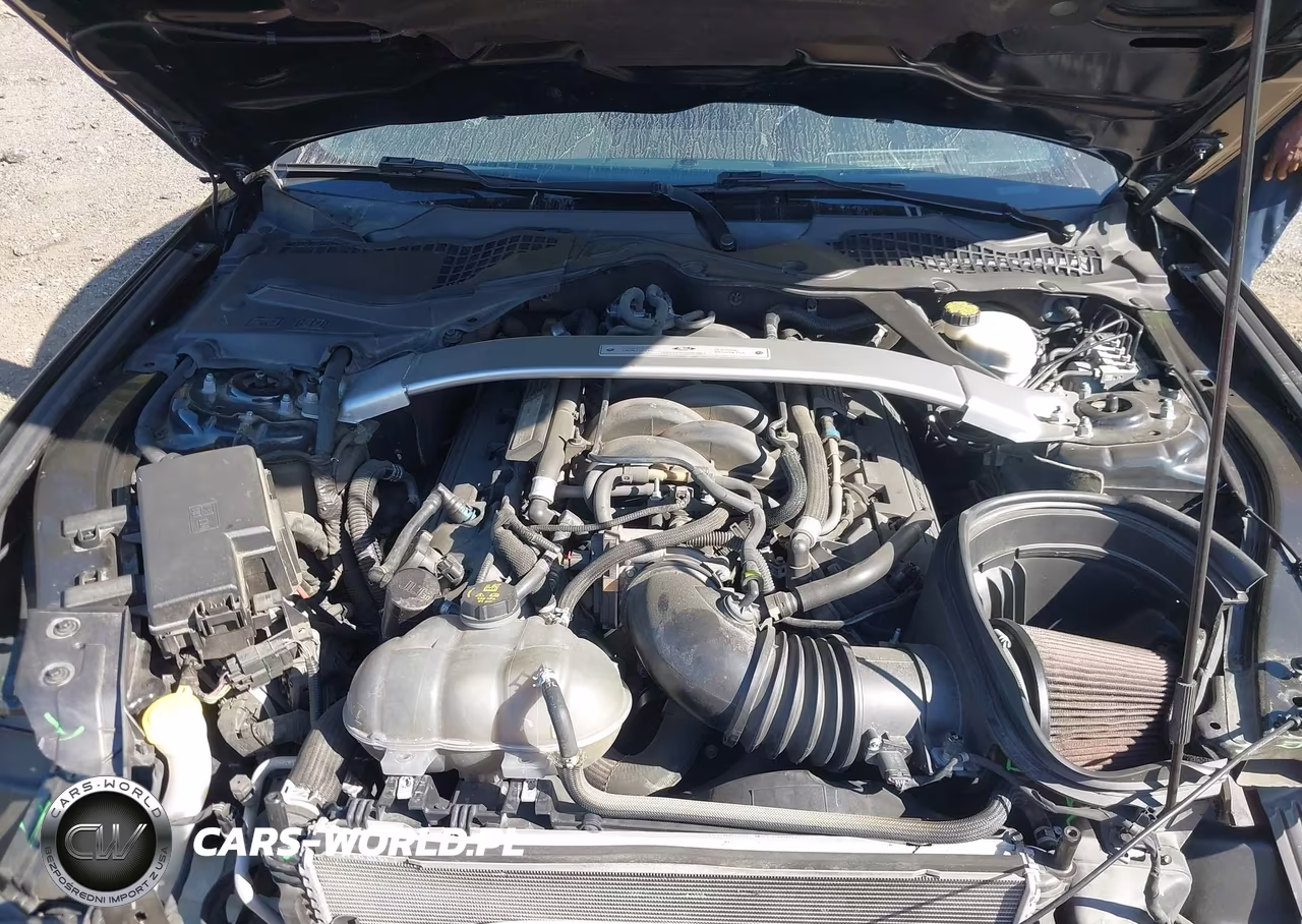 2016 Ford Shelby Gt350 VIN:1FA6P8JZ4G5520156 - 10