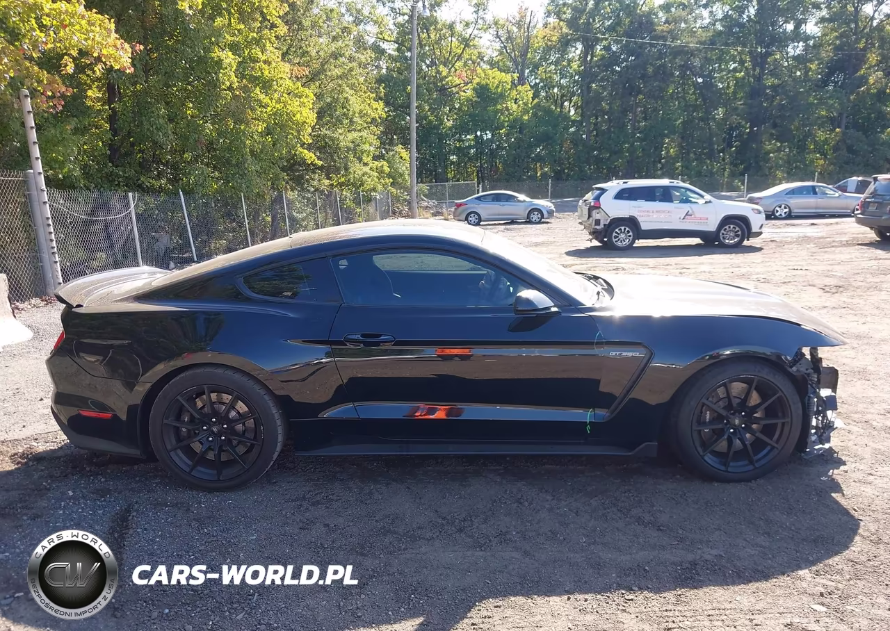 2016 Ford Shelby Gt350 VIN:1FA6P8JZ4G5520156 - 14