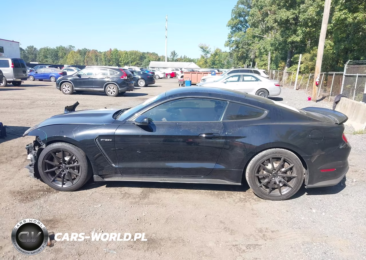 2016 Ford Shelby Gt350 VIN:1FA6P8JZ4G5520156 - 15