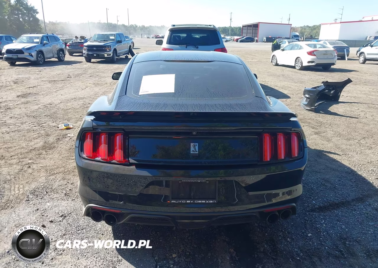 2016 Ford Shelby Gt350 VIN:1FA6P8JZ4G5520156 - 17