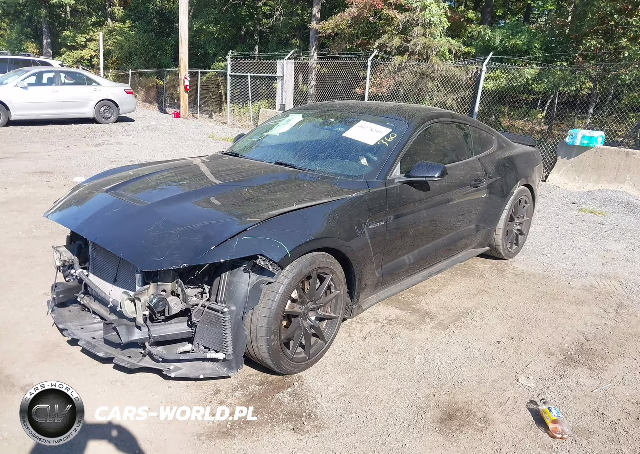 2016 Ford Shelby Gt350 VIN:1FA6P8JZ4G5520156 - 2
