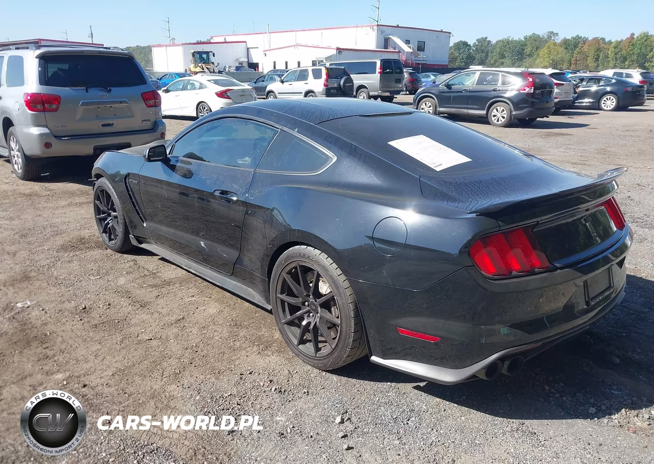 2016 Ford Shelby Gt350 VIN:1FA6P8JZ4G5520156 - 3