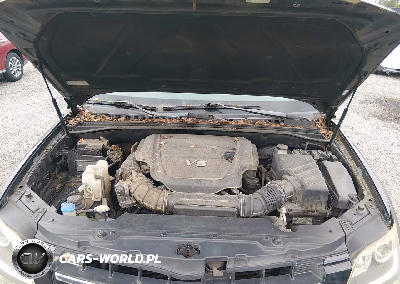 2009 Kia Borrego Lx VIN:KNDJJ741695031606 - 10